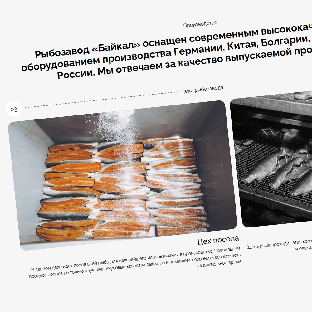 Рыбозавод «Байкал»